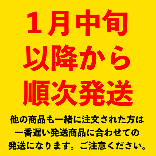オートレーサーストア | 伊勢崎オートレース選手会公式グッズの販売